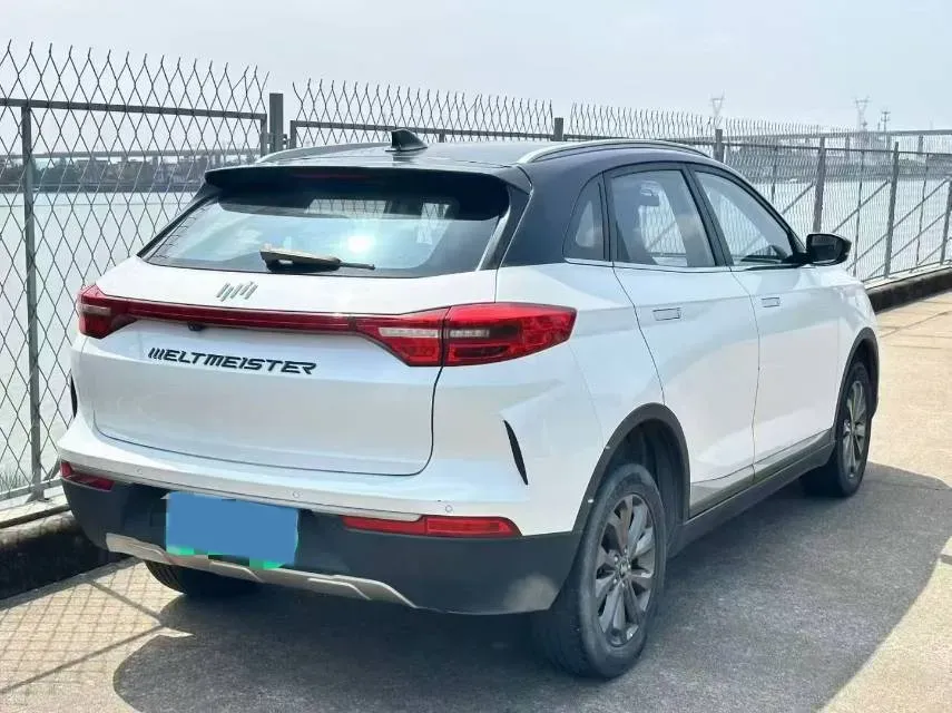 2019 Weltmeister EX5 BEV 52.56KWH,autocango,china used car exporter,china ev exporter,chinese used car exporter,chinese used ev exporter