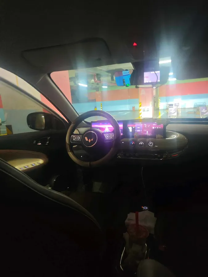 2023 WuLing BinGuo BEV 31.9KWH,autocango,china used car exporter,china ev exporter,chinese used car exporter,chinese used ev exporter