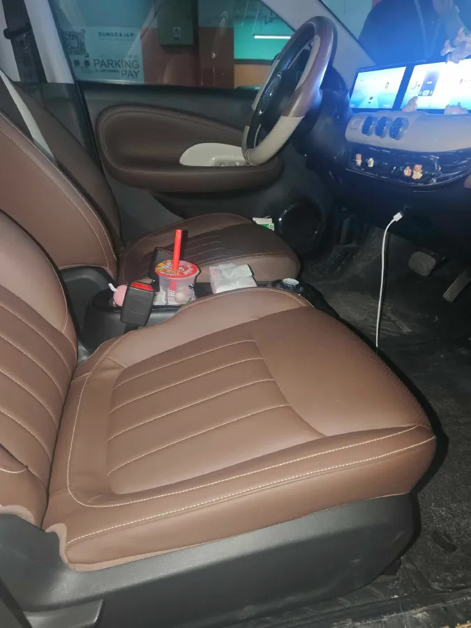 2023 WuLing BinGuo BEV 31.9KWH,autocango,china used car exporter,china ev exporter,chinese used car exporter,chinese used ev exporter