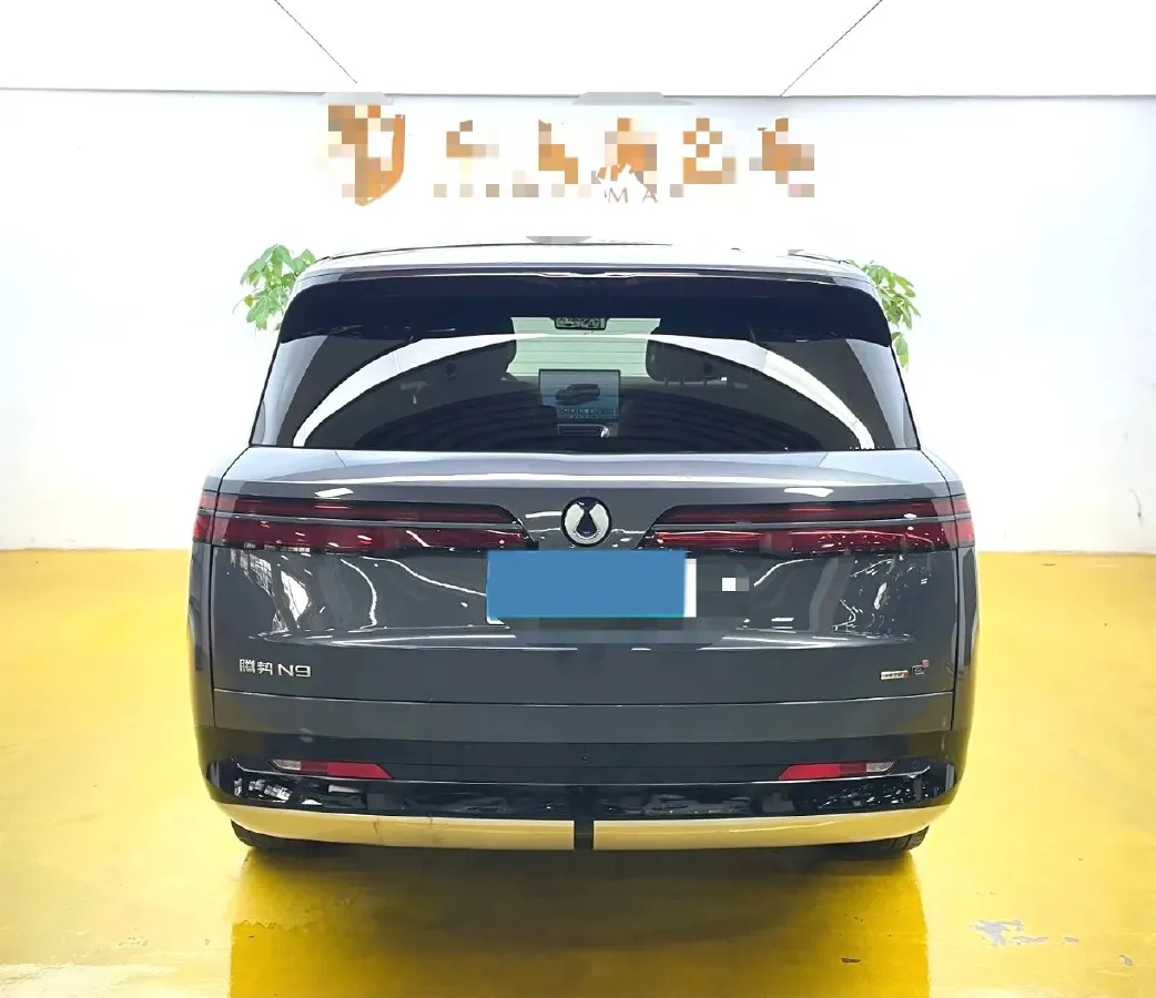2026 Denza DenzaN9 2.0T 207HP L4 E-CVT PHEV,autocango,china used car exporter,china ev exporter,chinese used car exporter,chinese used ev exporter
