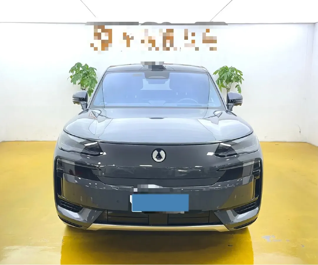 2026 Denza DenzaN9 2.0T 207HP L4 E-CVT PHEV,autocango,china used car exporter,china ev exporter,chinese used car exporter,chinese used ev exporter