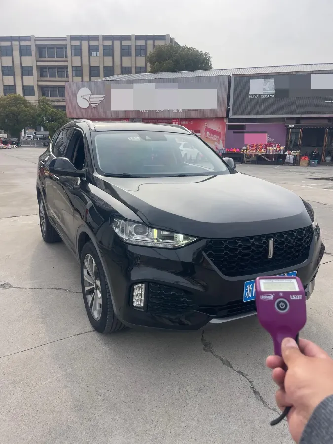 2018 WEY VV6 2.0T 197HP L4 7DCT,autocango,china used car exporter,china ev exporter,chinese used car exporter,chinese used ev exporter