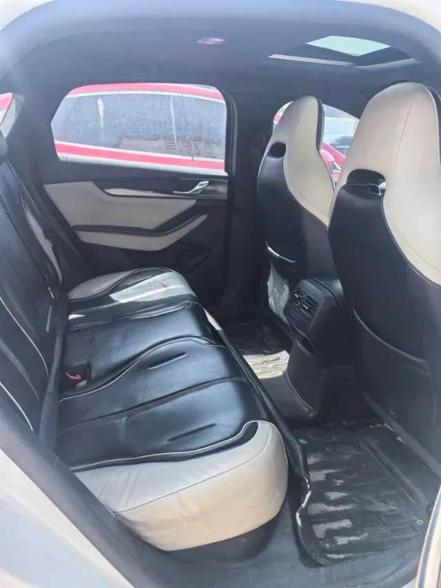 2021 DongFeng FuKang e Elysee BEV 38.4KWH,autocango,china used car exporter,china ev exporter,chinese used car exporter,chinese used ev exporter