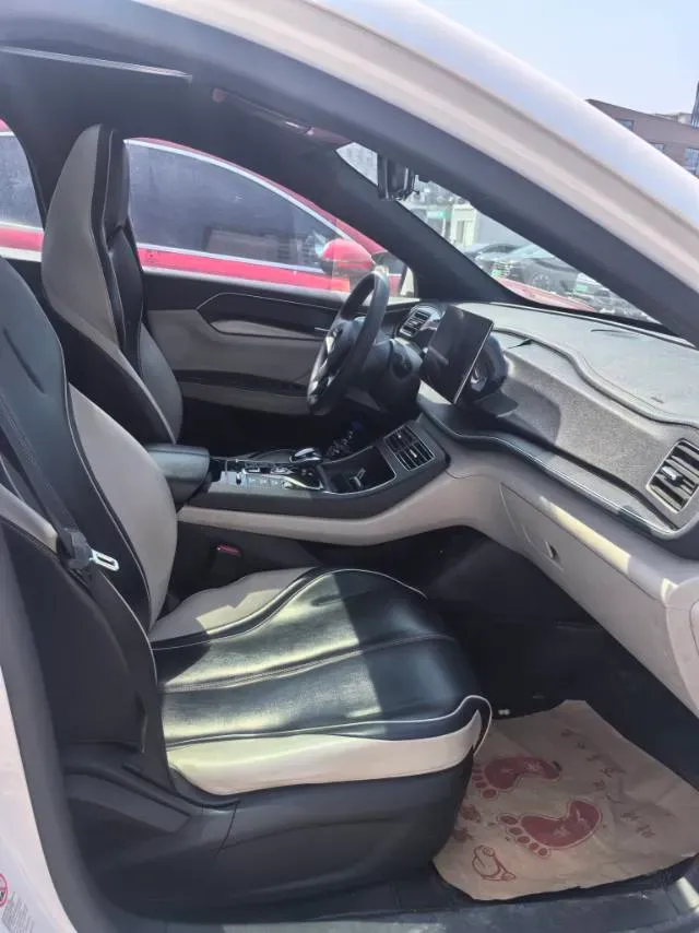 2021 DongFeng FuKang e Elysee BEV 38.4KWH,autocango,china used car exporter,china ev exporter,chinese used car exporter,chinese used ev exporter