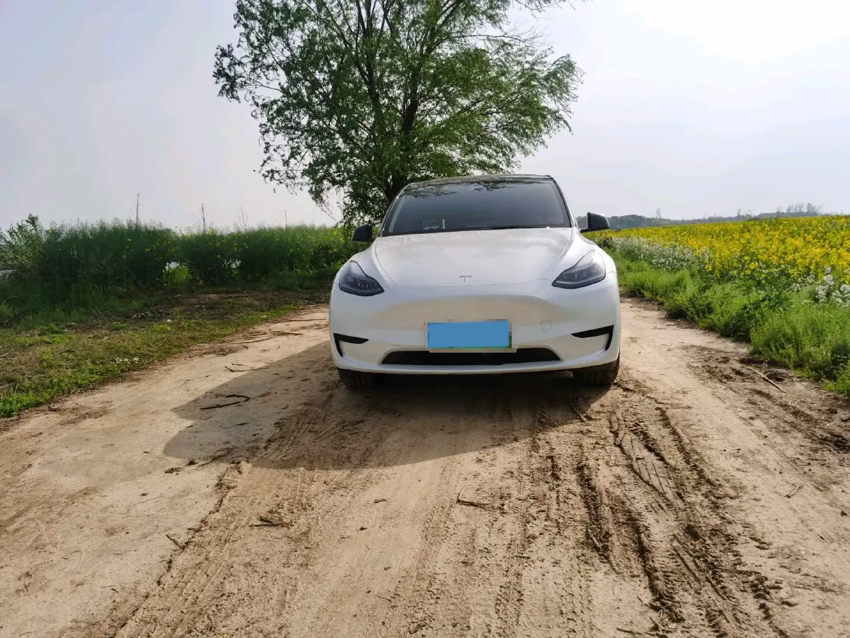 2022 Tesla Model Y BEV 60KWH,autocango,china used car exporter,china ev exporter,chinese used car exporter,chinese used ev exporter