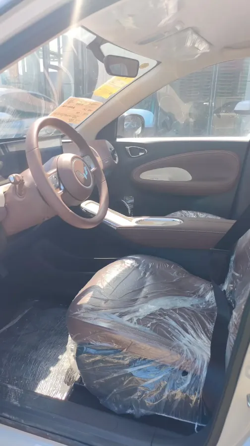 2025 WuLing BinGuo BEV,autocango,china used car exporter,china ev exporter,chinese used car exporter,chinese used ev exporter