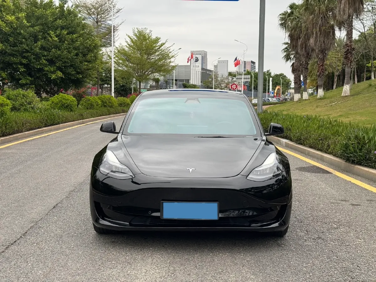 2021 Tesla Model 3 BEV 55KWH,autocango,china used car exporter,china ev exporter,chinese used car exporter,chinese used ev exporter