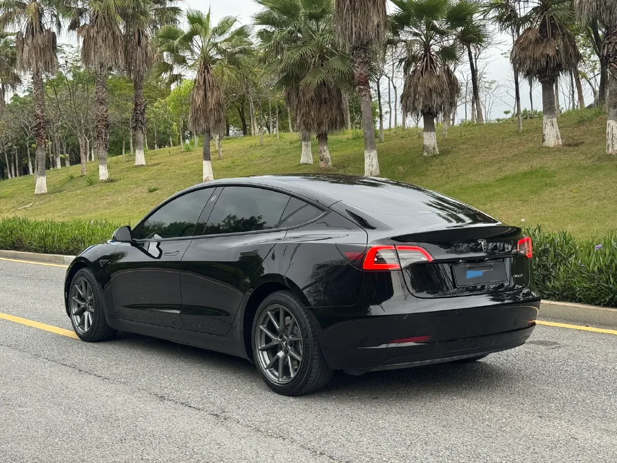 2021 Tesla Model 3 BEV 55KWH,autocango,china used car exporter,china ev exporter,chinese used car exporter,chinese used ev exporter