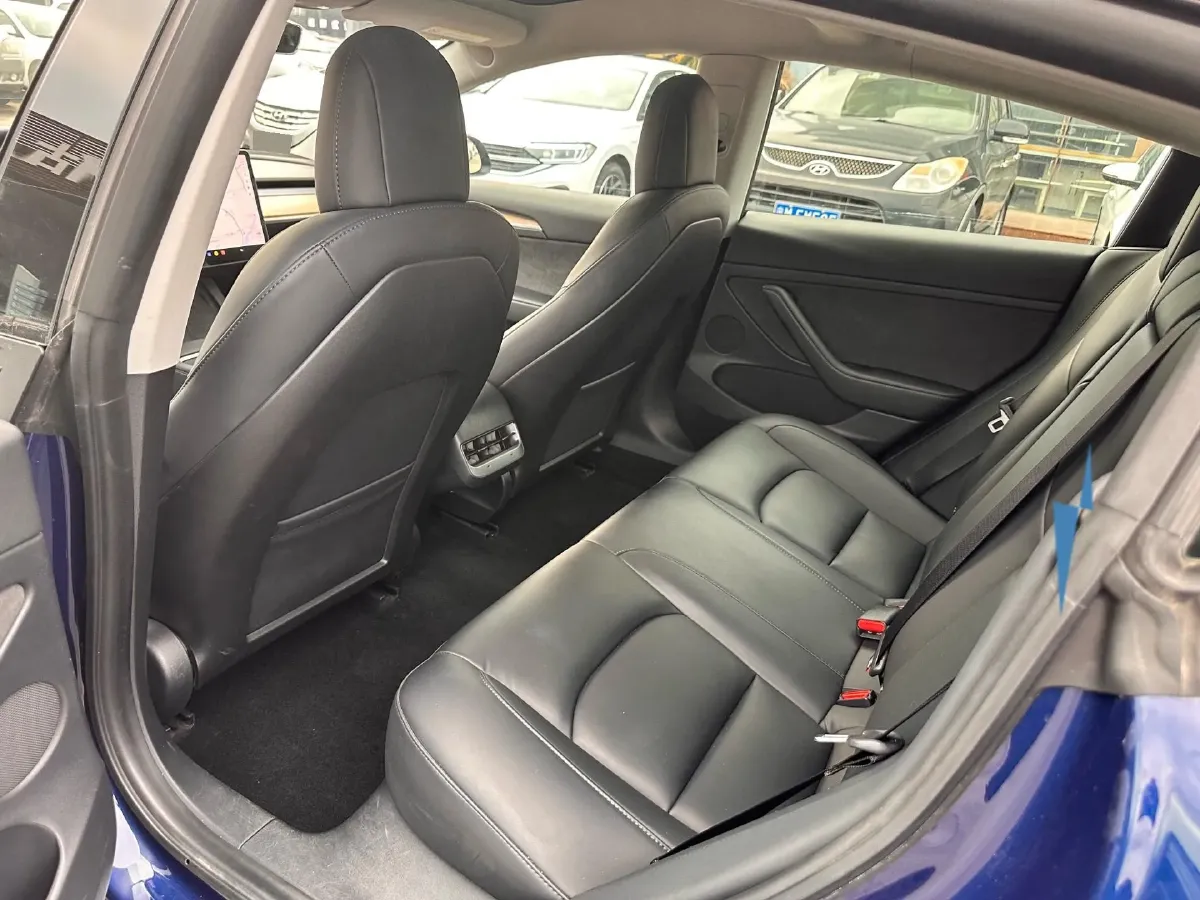 2021 Tesla Model 3 BEV 55KWH,autocango,china used car exporter,china ev exporter,chinese used car exporter,chinese used ev exporter