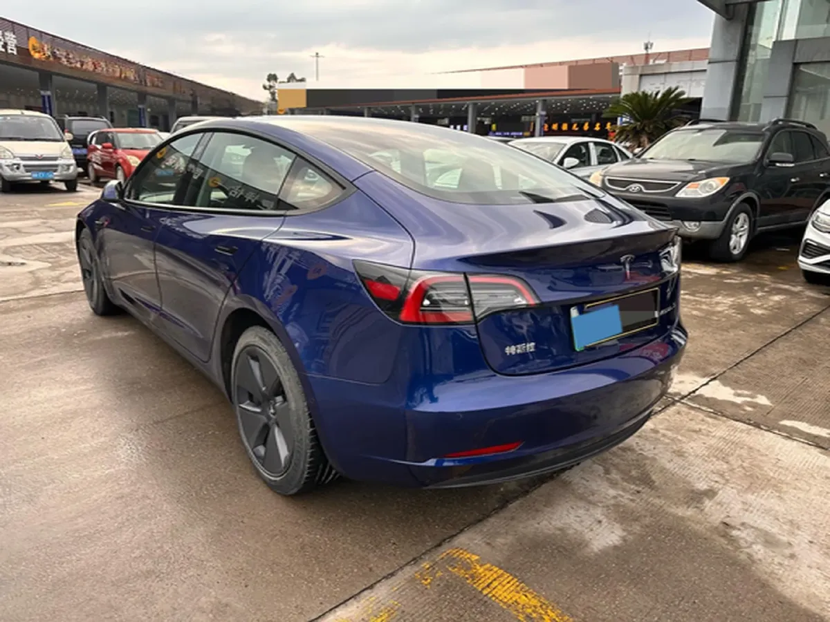 2021 Tesla Model 3 BEV 55KWH,autocango,china used car exporter,china ev exporter,chinese used car exporter,chinese used ev exporter