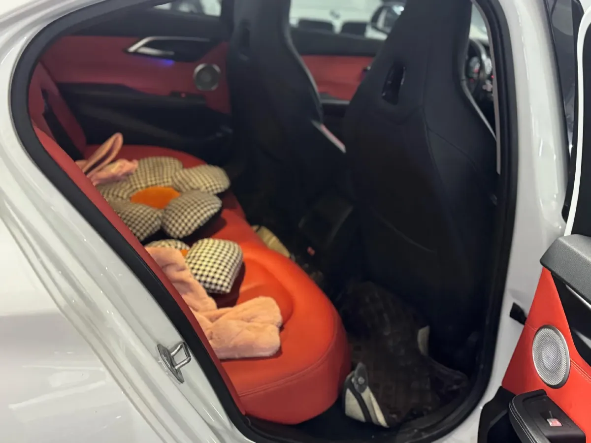 2021 BMW 1 Series 2.0T 192HP L4 7DCT,autocango,china used car exporter,china ev exporter,chinese used car exporter,chinese used ev exporter