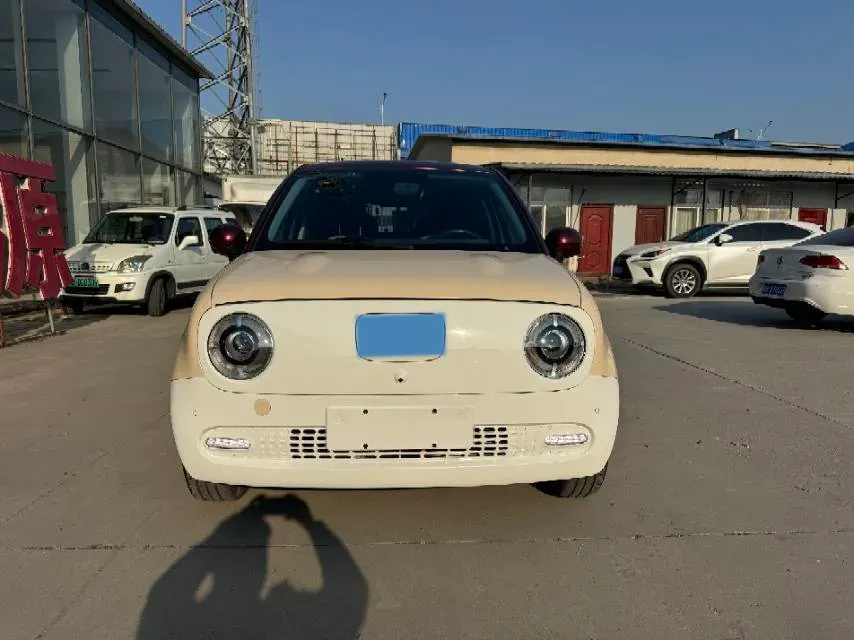 2022 DaYun YueHu BEV 30.66KWH,autocango,china used car exporter,china ev exporter,chinese used car exporter,chinese used ev exporter