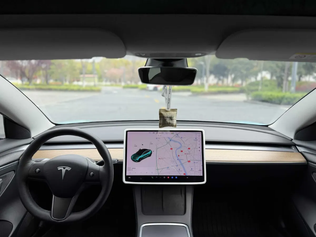 2021 Tesla Model 3 BEV 55KWH,autocango,china used car exporter,china ev exporter,chinese used car exporter,chinese used ev exporter