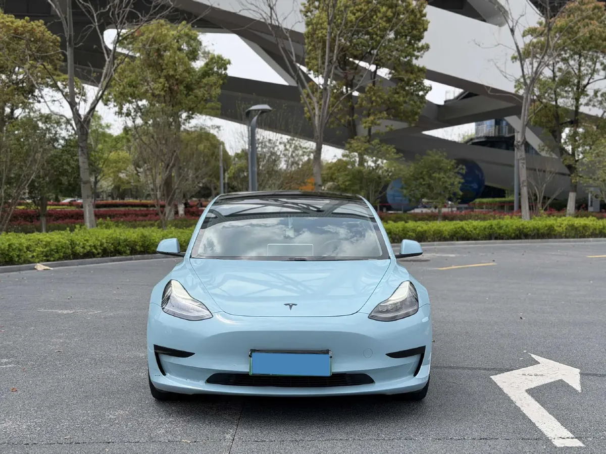 2021 Tesla Model 3 BEV 55KWH,autocango,china used car exporter,china ev exporter,chinese used car exporter,chinese used ev exporter