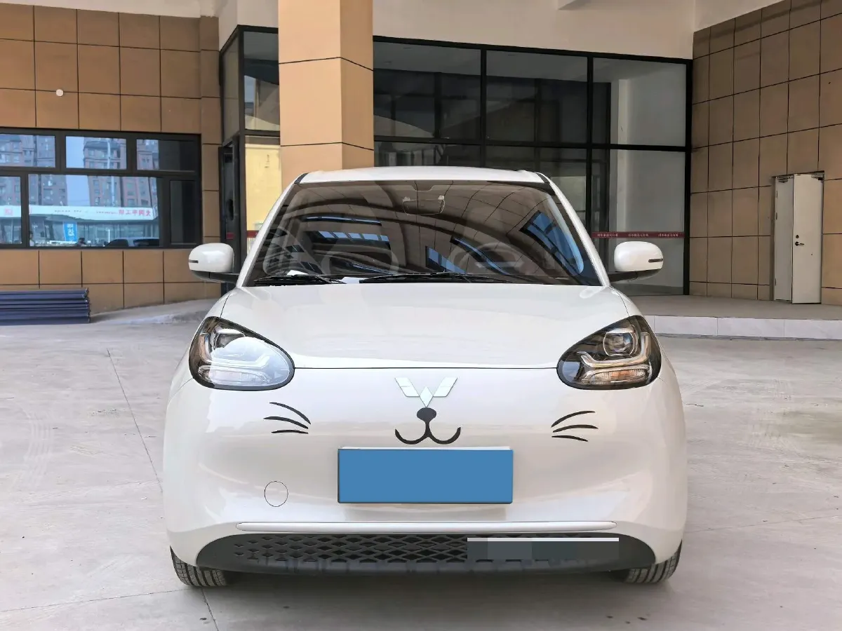 2025 WuLing BinGuo BEV,autocango,china used car exporter,china ev exporter,chinese used car exporter,chinese used ev exporter