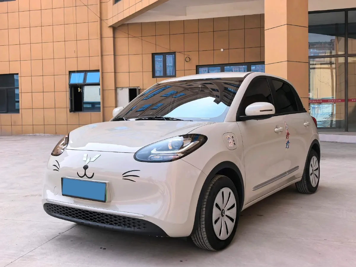 2025 WuLing BinGuo BEV,autocango,china used car exporter,china ev exporter,chinese used car exporter,chinese used ev exporter