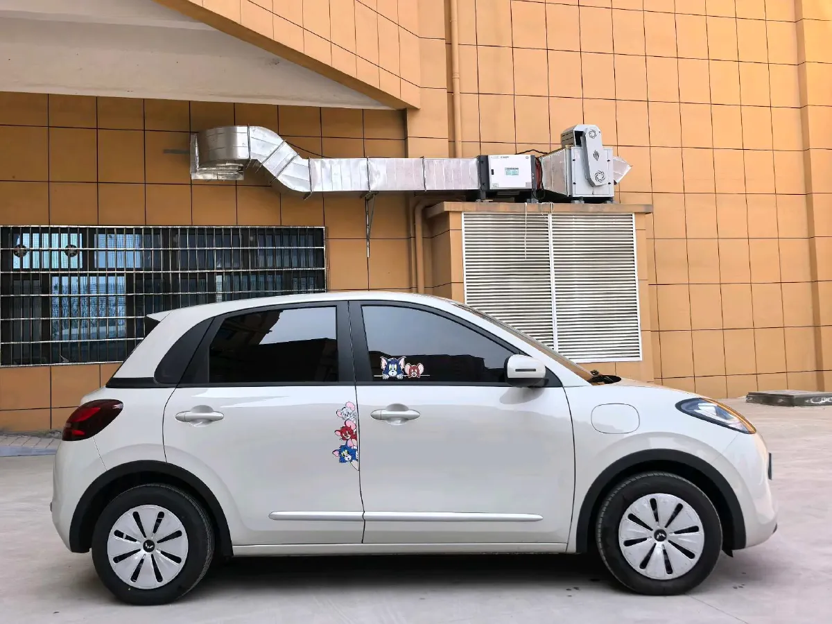 2025 WuLing BinGuo BEV,autocango,china used car exporter,china ev exporter,chinese used car exporter,chinese used ev exporter