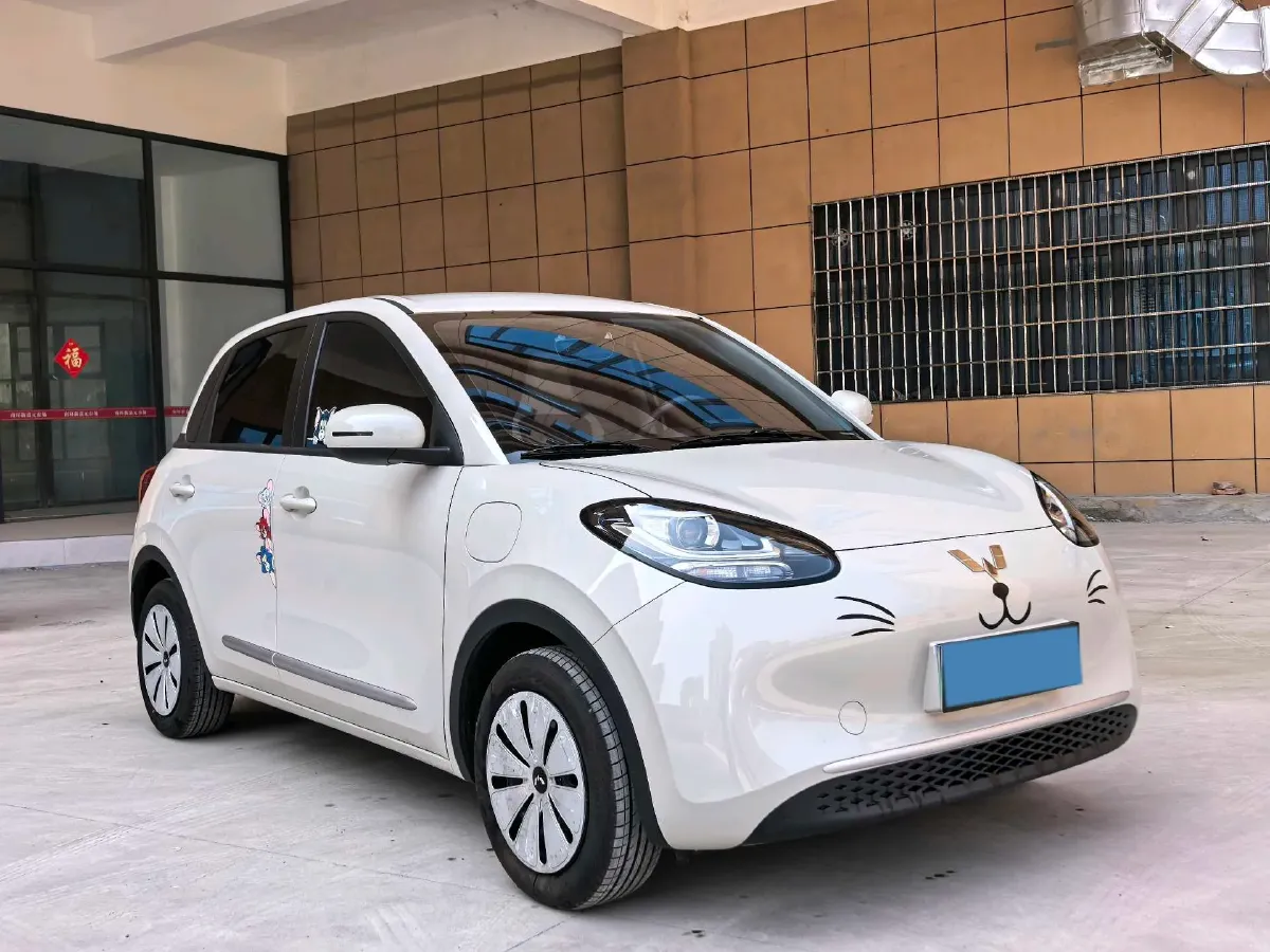 2025 WuLing BinGuo BEV,autocango,china used car exporter,china ev exporter,chinese used car exporter,chinese used ev exporter