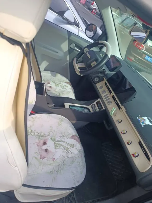 2022 Levdeo Mango BEV 17.28KWH,autocango,china used car exporter,china ev exporter,chinese used car exporter,chinese used ev exporter