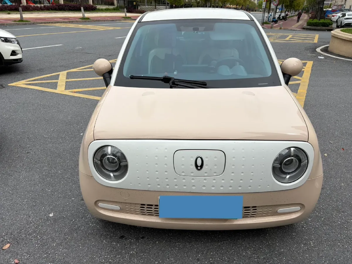 2021 Ora BlackCat BEV 30.3KWH,autocango,china used car exporter,china ev exporter,chinese used car exporter,chinese used ev exporter