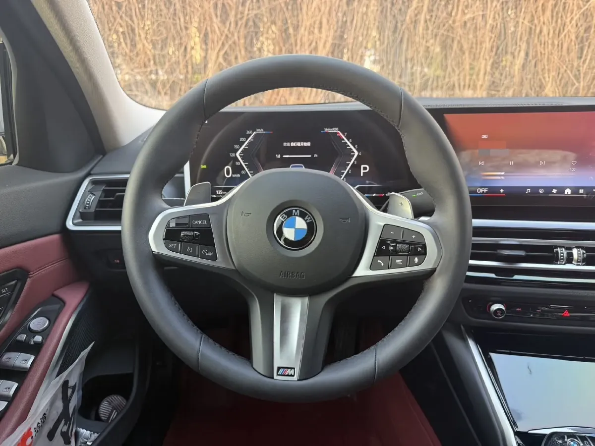 2023 BMW 3 Series 2.0T 156HP L4 8AT,autocango,china used car exporter,china ev exporter,chinese used car exporter,chinese used ev exporter