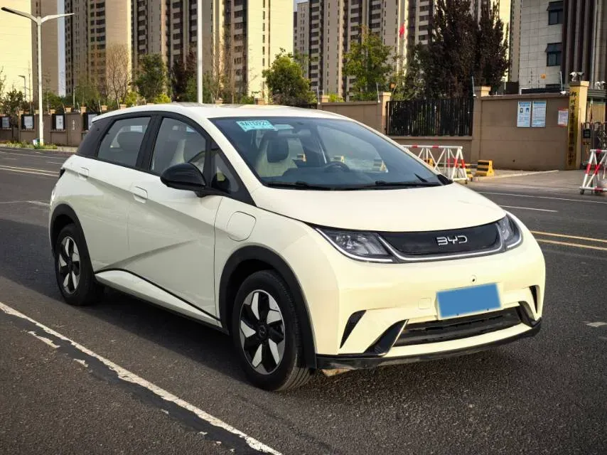2025 BYD Dolphin BEV 44.928KWH,autocango,china used car exporter,china ev exporter,chinese used car exporter,chinese used ev exporter