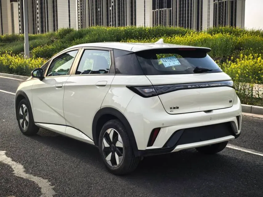 2025 BYD Dolphin BEV 44.928KWH,autocango,china used car exporter,china ev exporter,chinese used car exporter,chinese used ev exporter