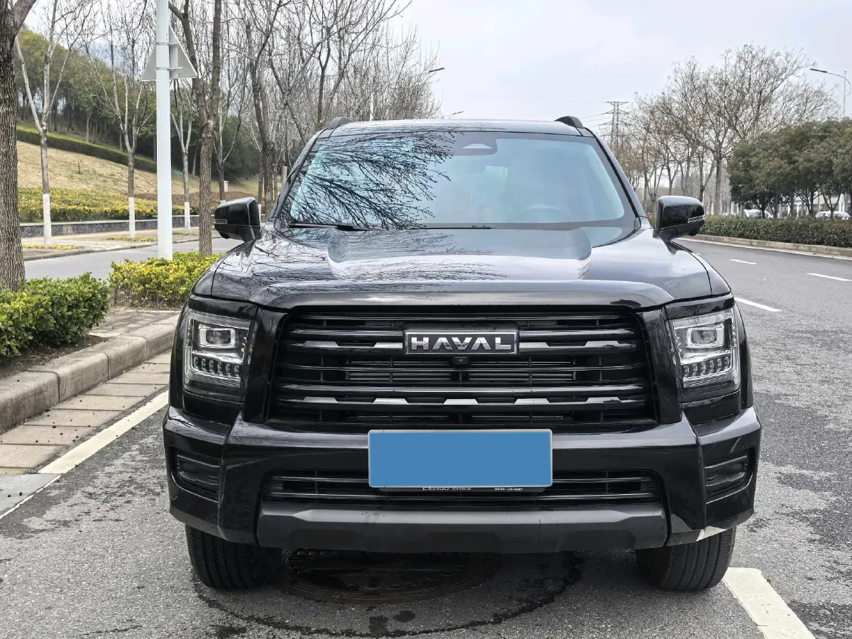 2025 Haval H5 2.0T 166HP L4 8AT,autocango,china used car exporter,china ev exporter,chinese used car exporter,chinese used ev exporter