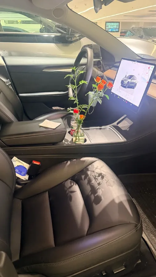 2022 Tesla Model 3 BEV 60KWH,autocango,china used car exporter,china ev exporter,chinese used car exporter,chinese used ev exporter