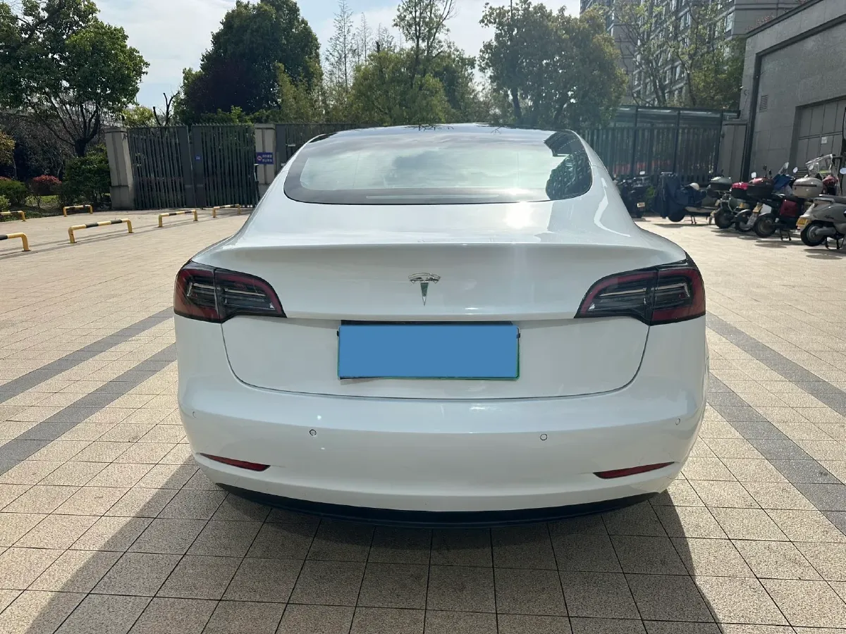 2021 Tesla Model 3 BEV 55KWH,autocango,china used car exporter,china ev exporter,chinese used car exporter,chinese used ev exporter