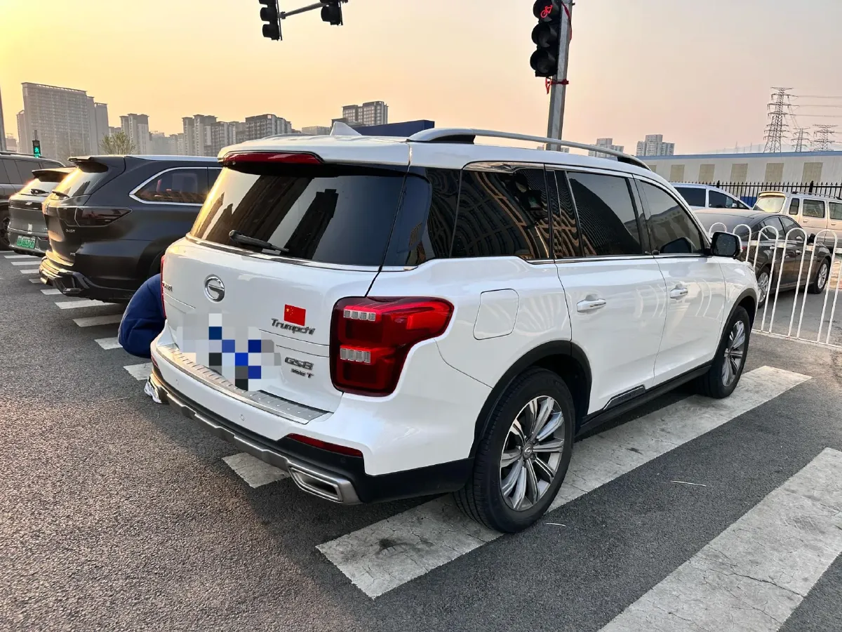 2020 GAC Trumpchi GS8 2.0T 252HP L4 6AT,autocango,china used car exporter,china ev exporter,chinese used car exporter,chinese used ev exporter