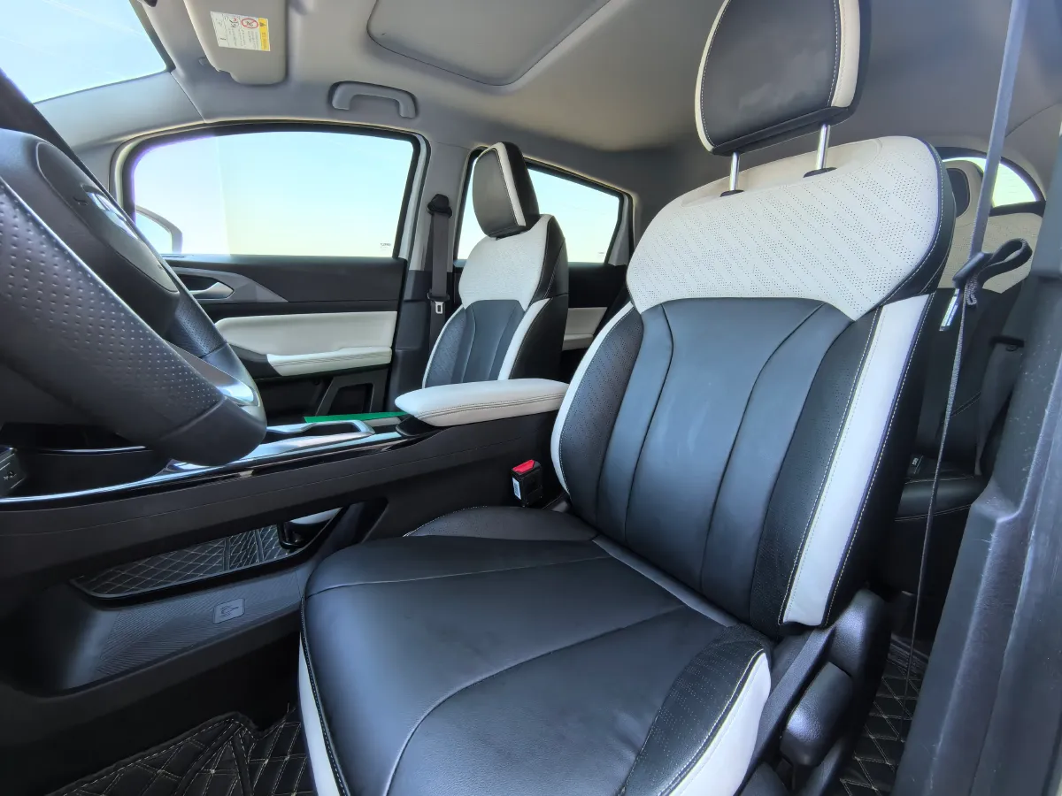 2024 Geometry E BEV 39.3KWH,autocango,china used car exporter,china ev exporter,chinese used car exporter,chinese used ev exporter