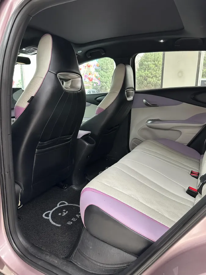 2023 BYD Dolphin BEV 44.928KWH,autocango,china used car exporter,china ev exporter,chinese used car exporter,chinese used ev exporter