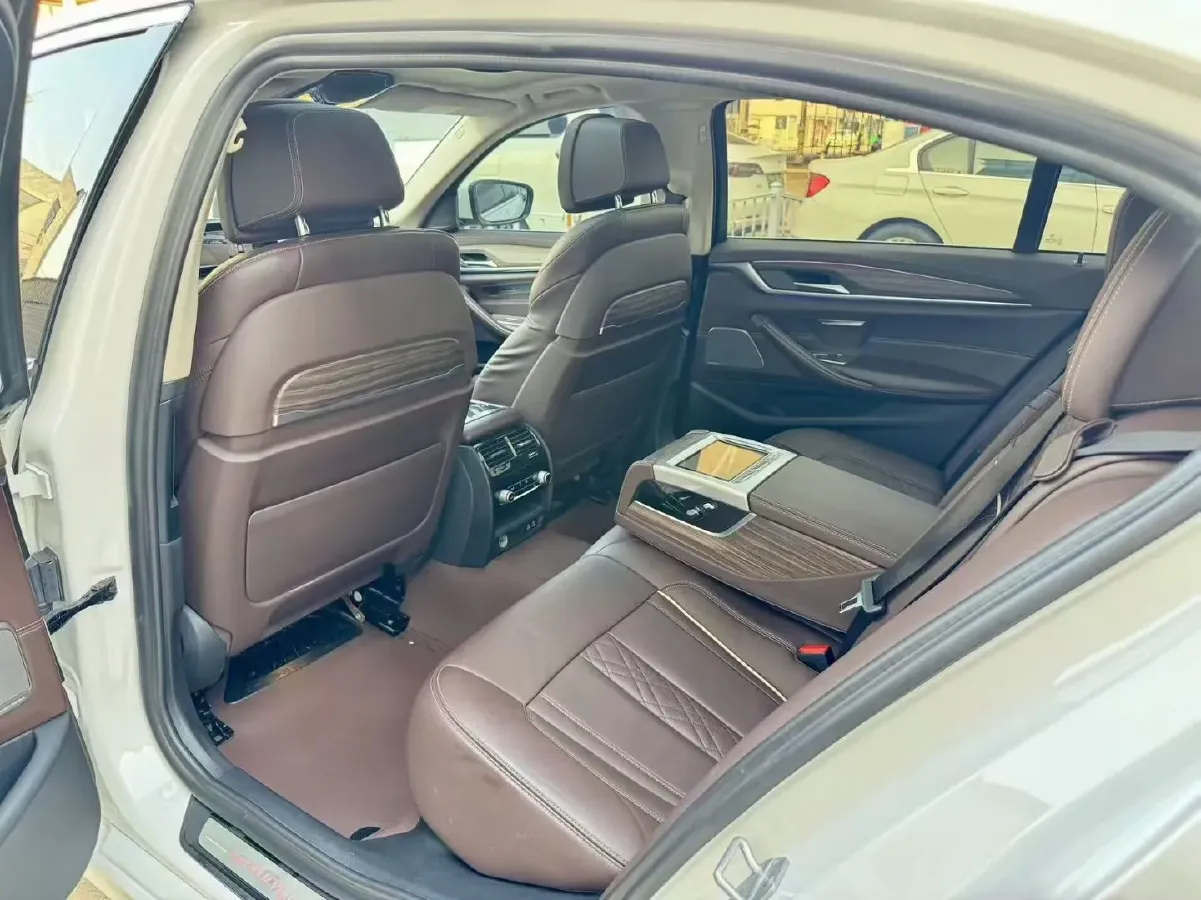 2020 BMW 5 Series 2.0T 252HP L4 8AT,autocango,china used car exporter,china ev exporter,chinese used car exporter,chinese used ev exporter