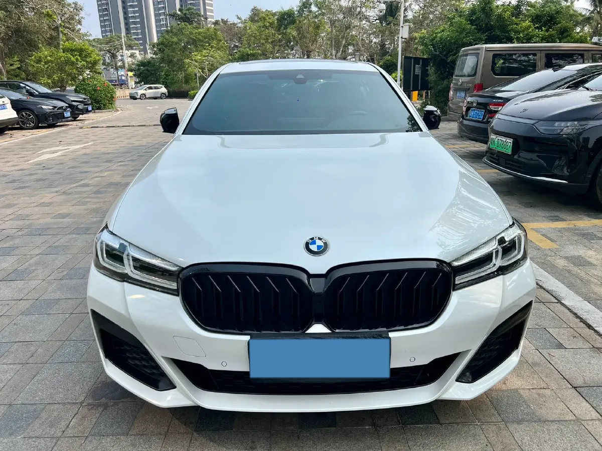 2021 BMW 5 Series 2.0T 252HP L4 8AT,autocango,china used car exporter,china ev exporter,chinese used car exporter,chinese used ev exporter