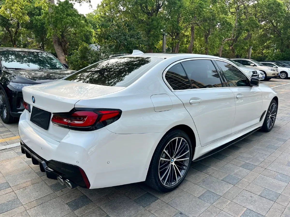 2021 BMW 5 Series 2.0T 252HP L4 8AT,autocango,china used car exporter,china ev exporter,chinese used car exporter,chinese used ev exporter