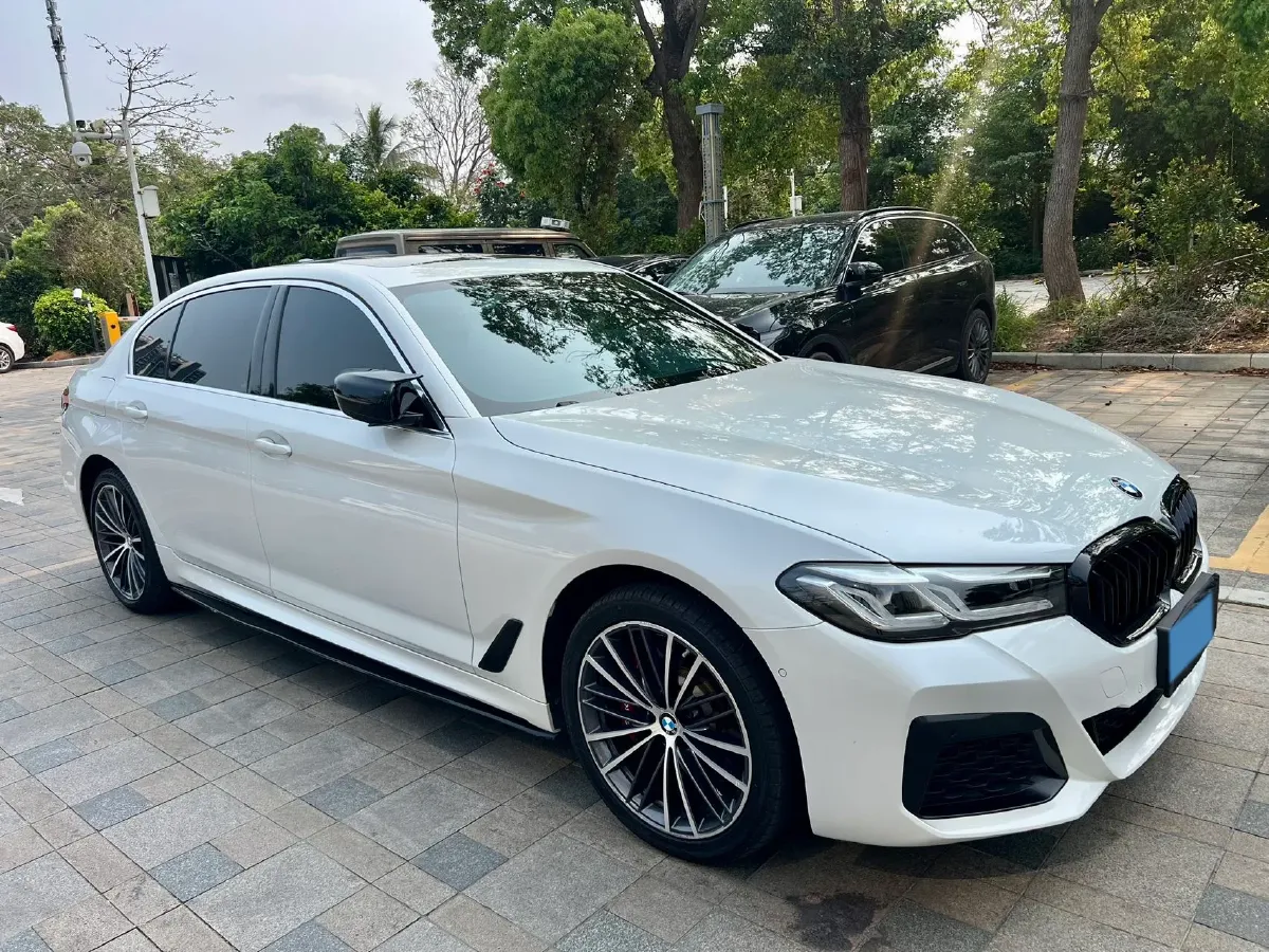 2021 BMW 5 Series 2.0T 252HP L4 8AT,autocango,china used car exporter,china ev exporter,chinese used car exporter,chinese used ev exporter