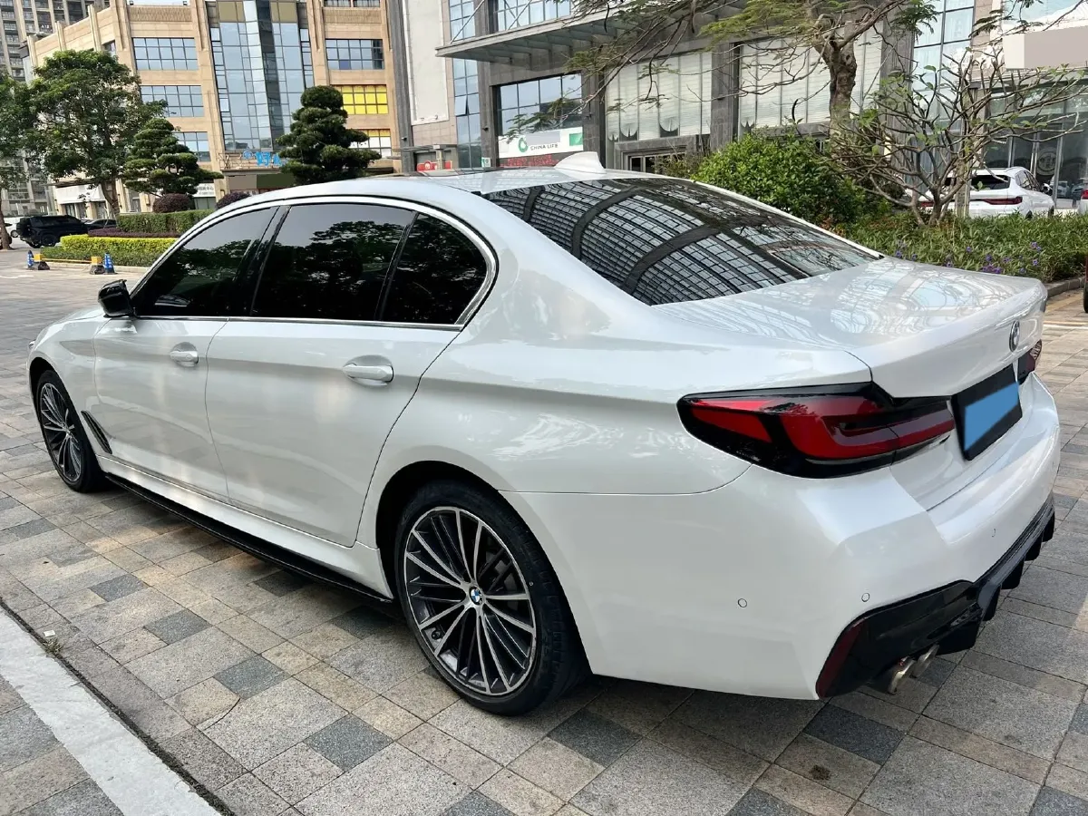 2021 BMW 5 Series 2.0T 252HP L4 8AT,autocango,china used car exporter,china ev exporter,chinese used car exporter,chinese used ev exporter