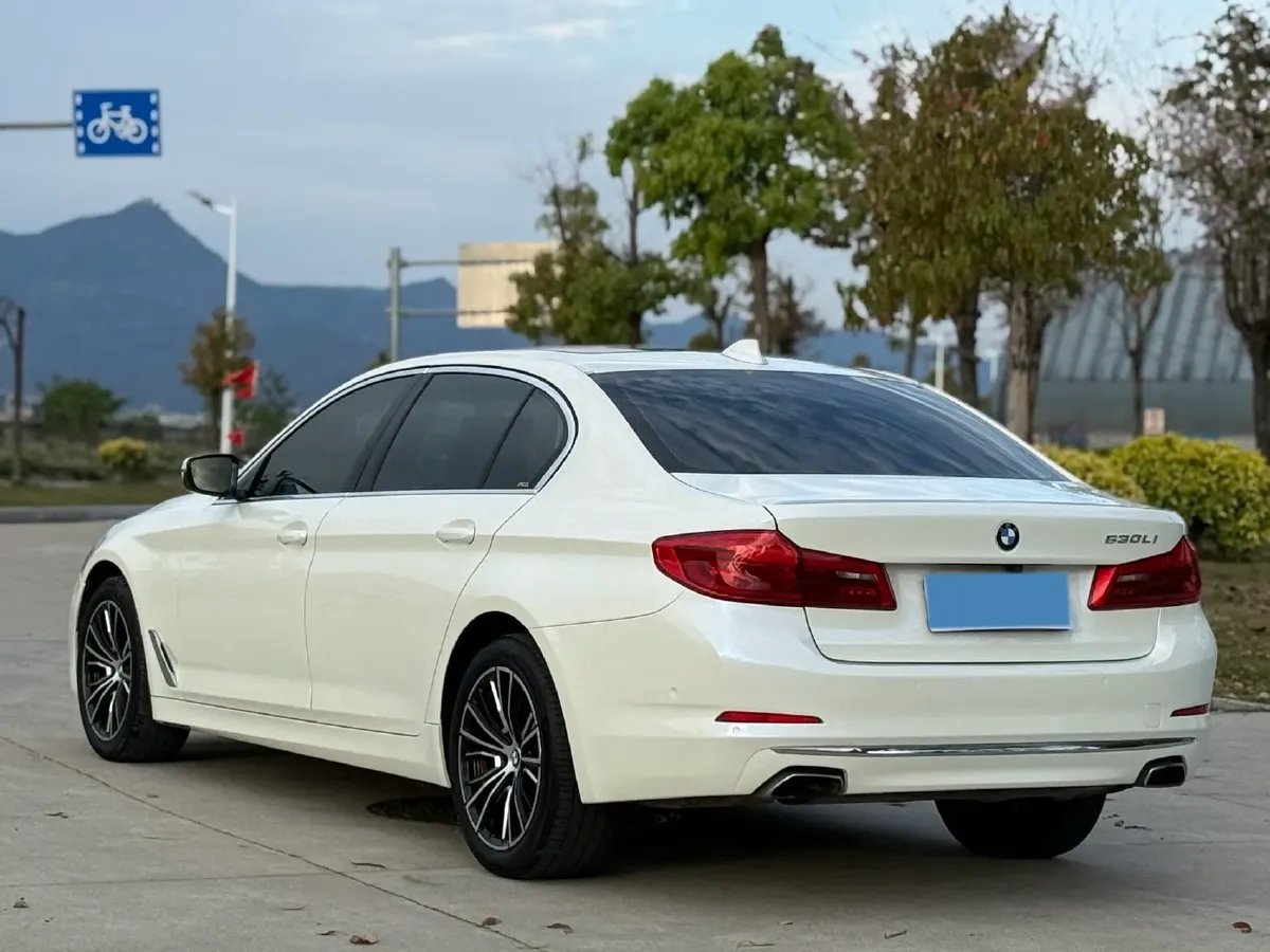 2020 BMW 5 Series 2.0T 252HP L4 8AT,autocango,china used car exporter,china ev exporter,chinese used car exporter,chinese used ev exporter