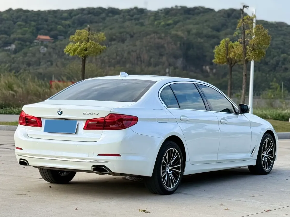 2020 BMW 5 Series 2.0T 252HP L4 8AT,autocango,china used car exporter,china ev exporter,chinese used car exporter,chinese used ev exporter