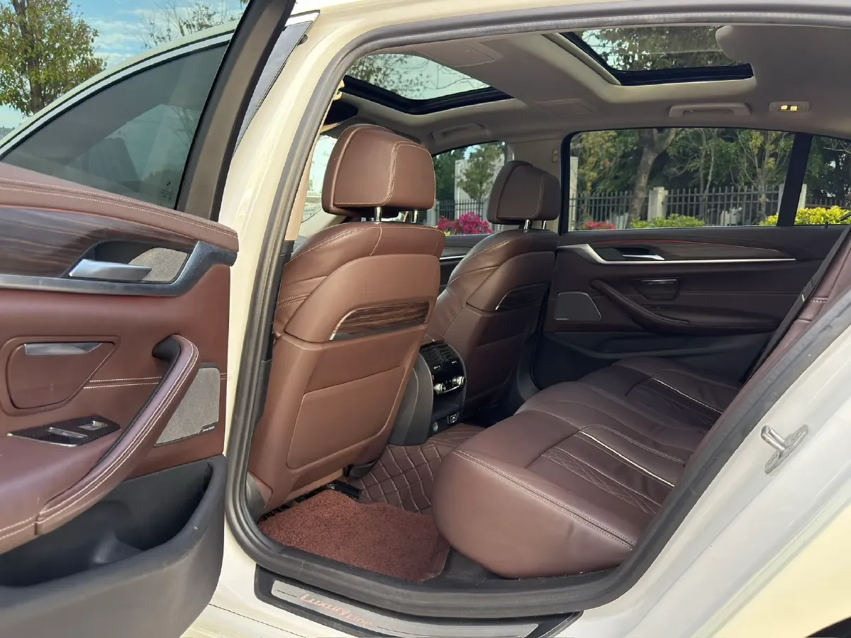 2020 BMW 5 Series 2.0T 252HP L4 8AT,autocango,china used car exporter,china ev exporter,chinese used car exporter,chinese used ev exporter