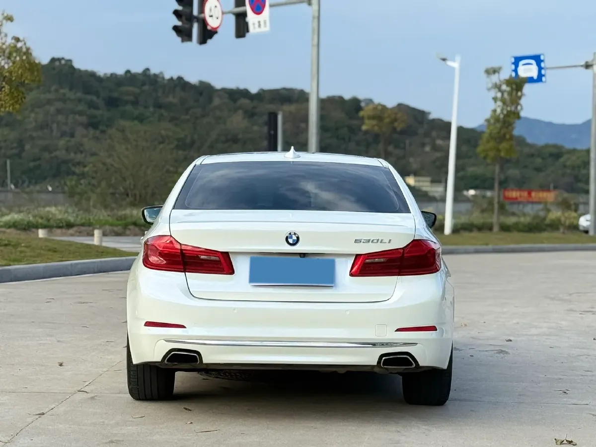 2020 BMW 5 Series 2.0T 252HP L4 8AT,autocango,china used car exporter,china ev exporter,chinese used car exporter,chinese used ev exporter