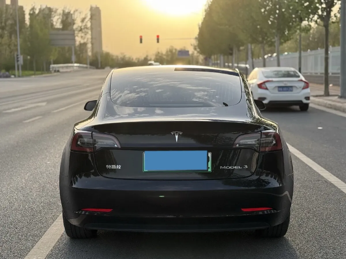 2020 Tesla Model 3 BEV 55KWH,autocango,china used car exporter,china ev exporter,chinese used car exporter,chinese used ev exporter