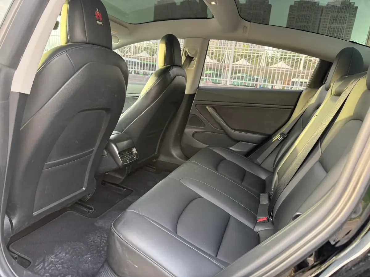 2020 Tesla Model 3 BEV 55KWH,autocango,china used car exporter,china ev exporter,chinese used car exporter,chinese used ev exporter