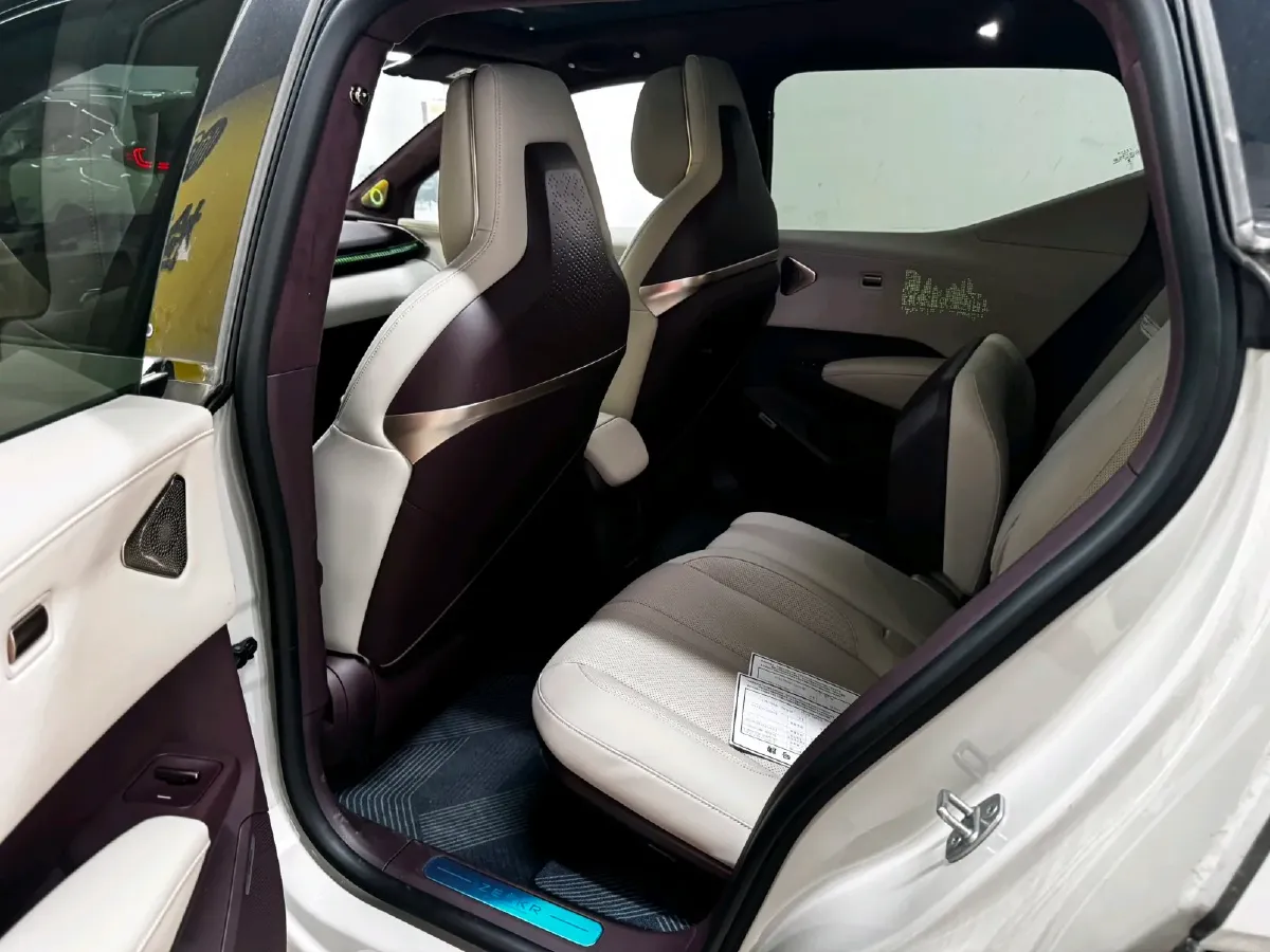 2024 Zeekr X BEV 66KWH,autocango,china used car exporter,china ev exporter,chinese used car exporter,chinese used ev exporter