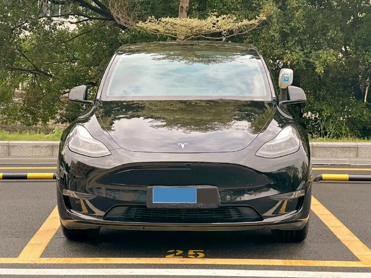 2021 Tesla Model 3 BEV 76.8KWH,autocango,china used car exporter,china ev exporter,chinese used car exporter,chinese used ev exporter