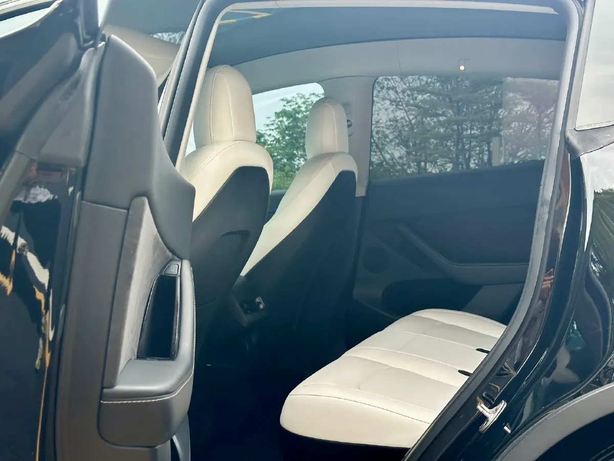 2021 Tesla Model 3 BEV 76.8KWH,autocango,china used car exporter,china ev exporter,chinese used car exporter,chinese used ev exporter