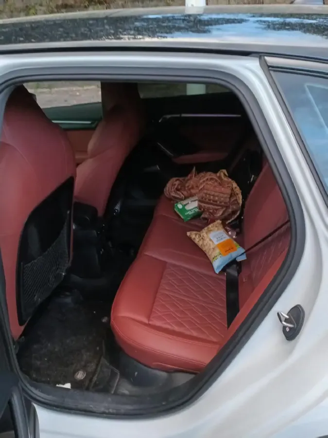 2025 Audi A3 1.5T 160HP L4 7DCT,autocango,china used car exporter,china ev exporter,chinese used car exporter,chinese used ev exporter