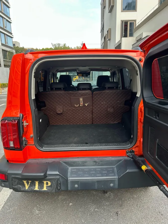 2021 Tank 300 2.0T 227HP L4 8AT,autocango,china used car exporter,china ev exporter,chinese used car exporter,chinese used ev exporter