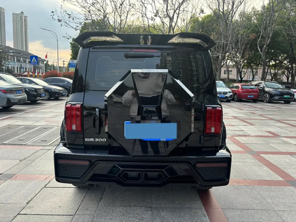 2024 Tank 300 2.0T 252HP L4 9AT,autocango,china used car exporter,china ev exporter,chinese used car exporter,chinese used ev exporter